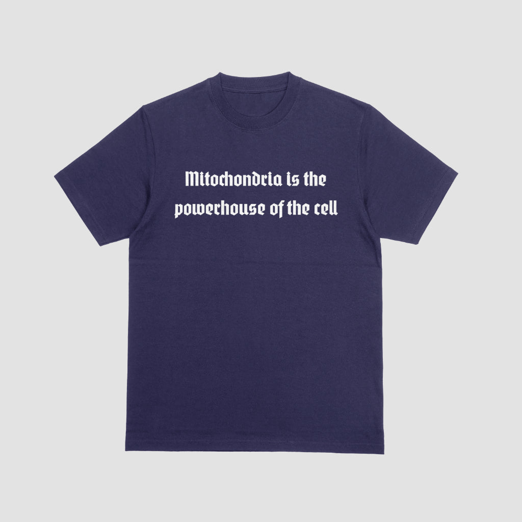 Mitochondria